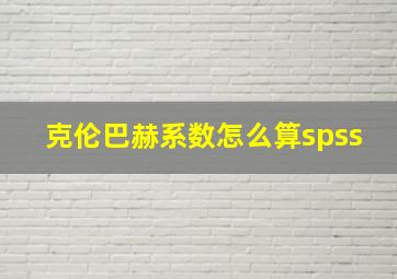 克伦巴赫系数怎么算spss