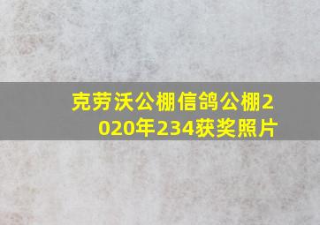 克劳沃公棚信鸽公棚2020年234获奖照片