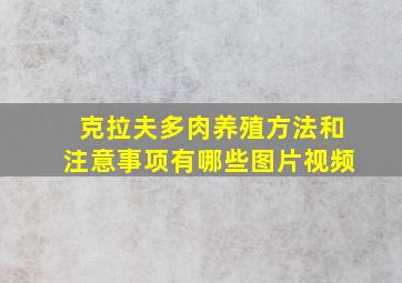 克拉夫多肉养殖方法和注意事项有哪些图片视频