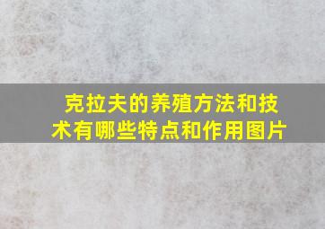 克拉夫的养殖方法和技术有哪些特点和作用图片