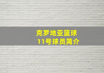 克罗地亚篮球11号球员简介