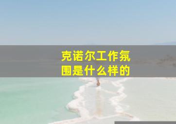 克诺尔工作氛围是什么样的