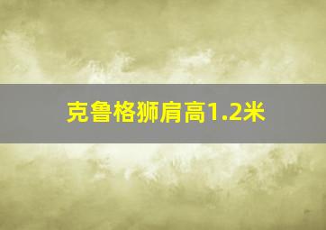 克鲁格狮肩高1.2米