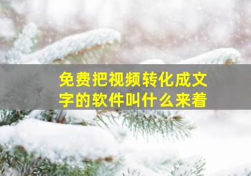 免费把视频转化成文字的软件叫什么来着