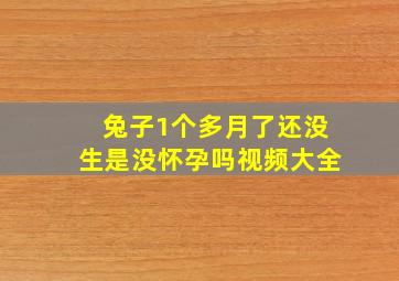 兔子1个多月了还没生是没怀孕吗视频大全