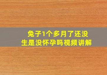 兔子1个多月了还没生是没怀孕吗视频讲解