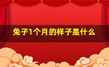 兔子1个月的样子是什么