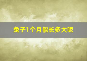 兔子1个月能长多大呢