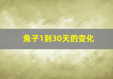 兔子1到30天的变化