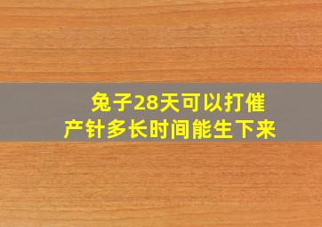 兔子28天可以打催产针多长时间能生下来