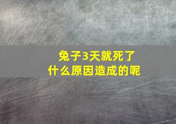 兔子3天就死了什么原因造成的呢