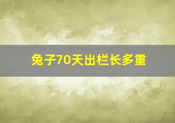 兔子70天出栏长多重