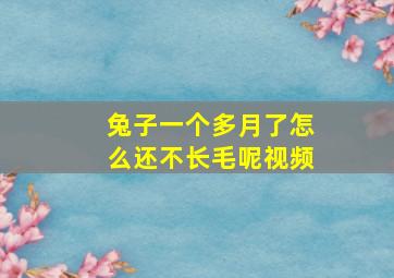 兔子一个多月了怎么还不长毛呢视频