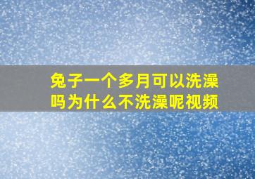 兔子一个多月可以洗澡吗为什么不洗澡呢视频