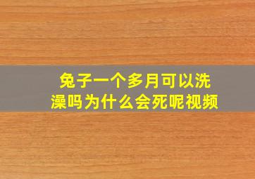 兔子一个多月可以洗澡吗为什么会死呢视频