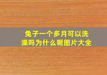 兔子一个多月可以洗澡吗为什么呢图片大全