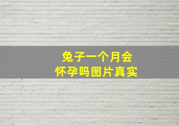 兔子一个月会怀孕吗图片真实