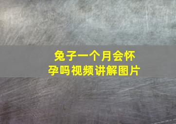 兔子一个月会怀孕吗视频讲解图片