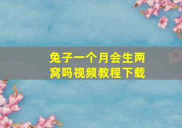 兔子一个月会生两窝吗视频教程下载