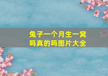 兔子一个月生一窝吗真的吗图片大全