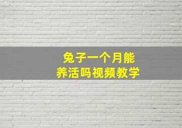 兔子一个月能养活吗视频教学