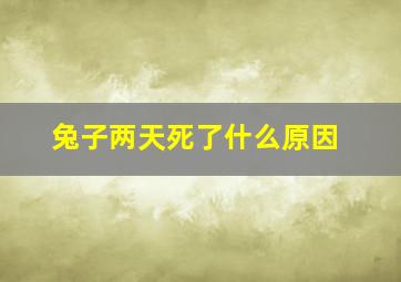 兔子两天死了什么原因