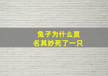 兔子为什么莫名其妙死了一只