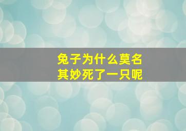 兔子为什么莫名其妙死了一只呢