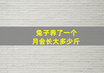 兔子养了一个月会长大多少斤