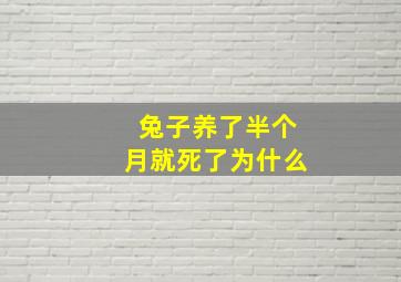 兔子养了半个月就死了为什么