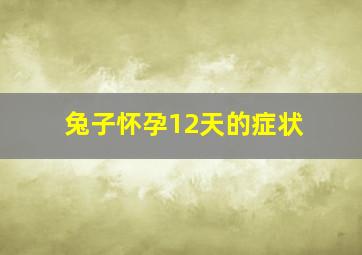 兔子怀孕12天的症状