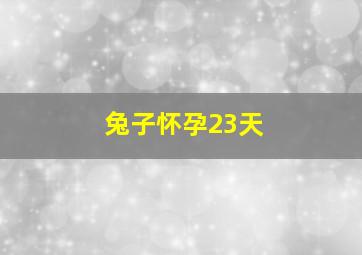 兔子怀孕23天