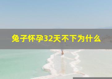 兔子怀孕32天不下为什么