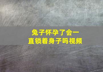 兔子怀孕了会一直锁着身子吗视频