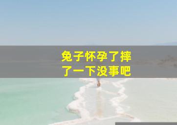 兔子怀孕了摔了一下没事吧