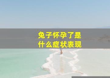 兔子怀孕了是什么症状表现