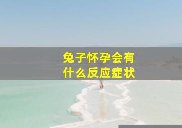 兔子怀孕会有什么反应症状