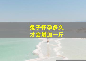 兔子怀孕多久才会增加一斤