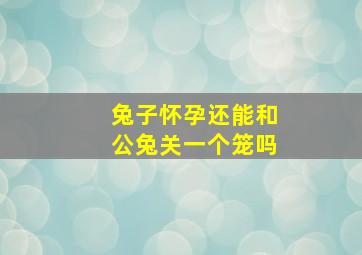 兔子怀孕还能和公兔关一个笼吗