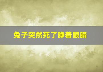 兔子突然死了睁着眼睛