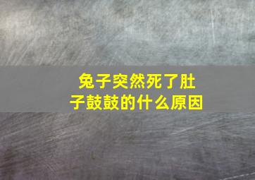 兔子突然死了肚子鼓鼓的什么原因