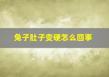 兔子肚子变硬怎么回事