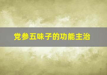 党参五味子的功能主治