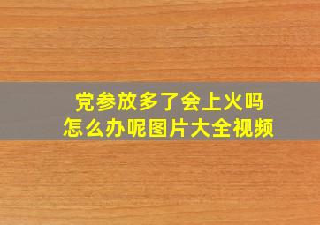 党参放多了会上火吗怎么办呢图片大全视频