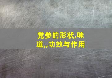 党参的形状,味道,,功效与作用