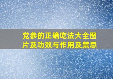 党参的正确吃法大全图片及功效与作用及禁忌