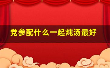 党参配什么一起炖汤最好