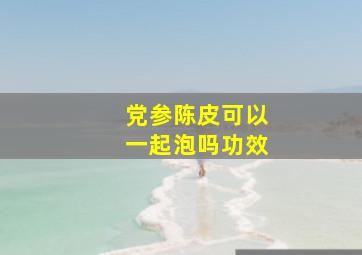 党参陈皮可以一起泡吗功效