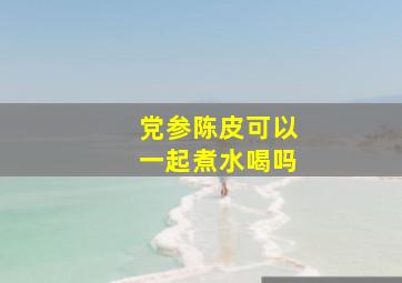 党参陈皮可以一起煮水喝吗