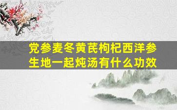 党参麦冬黄芪枸杞西洋参生地一起炖汤有什么功效